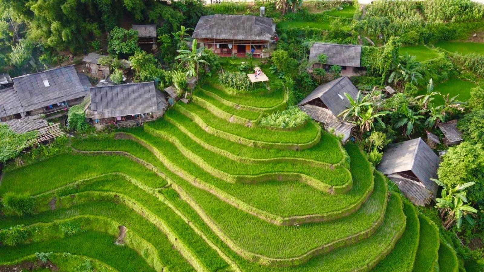 My'S Homestay Sapa 외부 사진